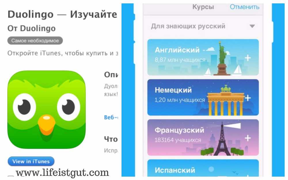 Изучение английского на айфоне. Приложения для изучения английского языка. Мобильные приложения для изучения иностранных языков. Приложение учить английский. Программа Duolingo.