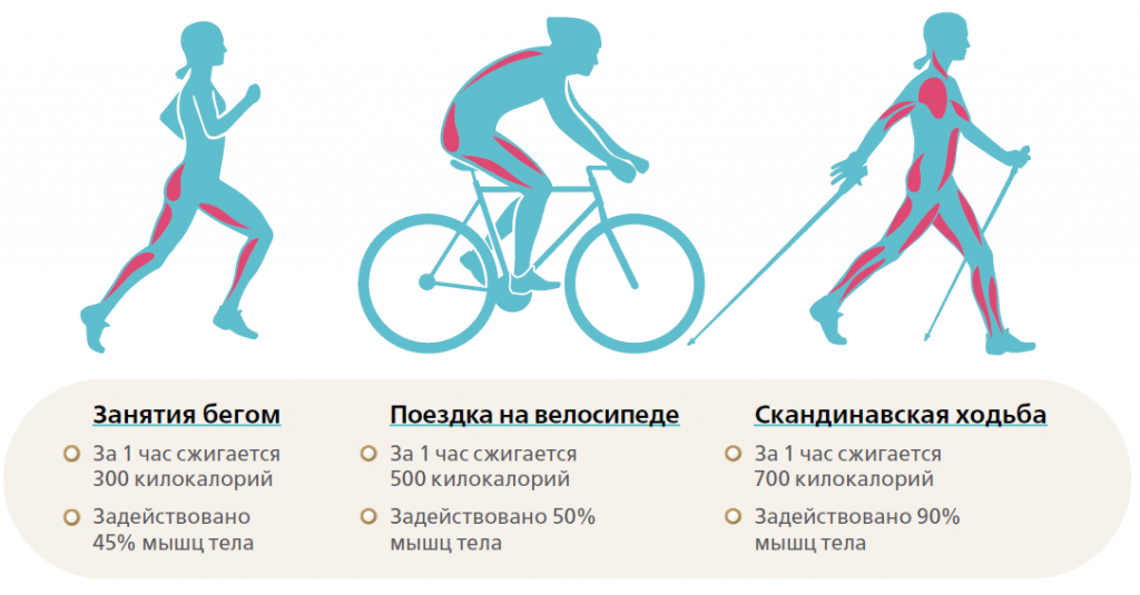 Топ-10 лучших велосипедных приложений на android для велоспорта