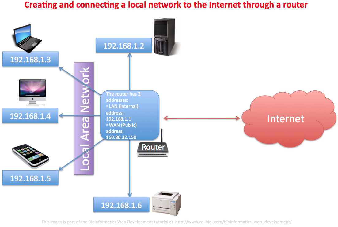 Функция connected. Lan сеть. Local area Network lan. Lan и Wan структура. Connected to the Internet *.