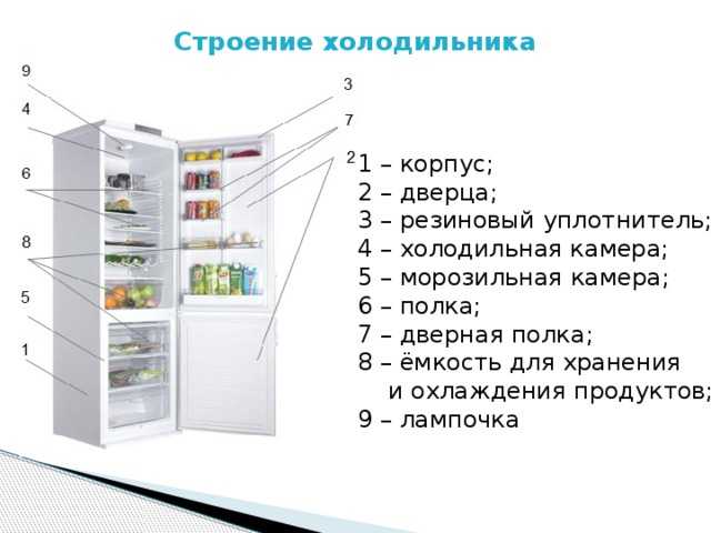 Виды холодильников: какие бывают? описание, характеристики