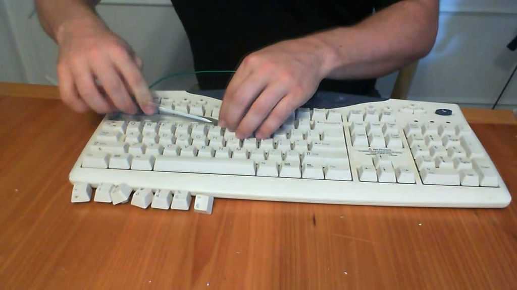 Как сделать подсветку клавиатуры на ноутбуке: пошаговая инструкция - samvsestroy.ru