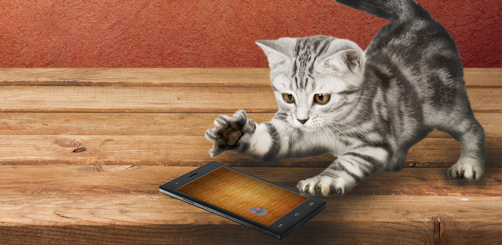 Игрушка для кошки на экране телефона. Игрушка для кошки на экране. Игры для кошек. Кошка и монитор. Игры про котов.