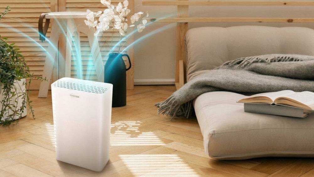 Как выбрать увлажнитель воздуха для дома, какой лучше и принцип работы