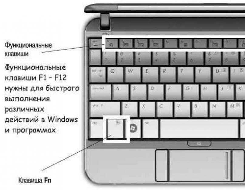 Не работает клавиатура на ноутбуке. Функциональные клавиши на ноутбуке. Функциональная клавиша на ноутбуке. Функциональные клавиши на клавиатуре ноутбука. Функциональные клавиши f.