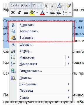 Как копировать и вставлять на ноутбуке. как копировать текст с помощью клавиатуры