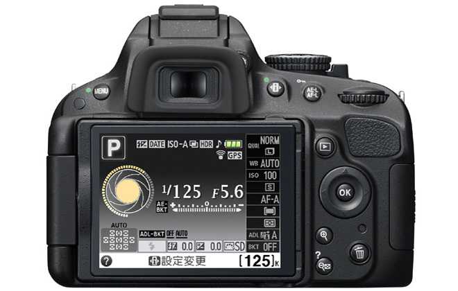 Сервис фотоаппаратов nikon undefined. Nikon Sigma d5100. Камера Nikon d5100.