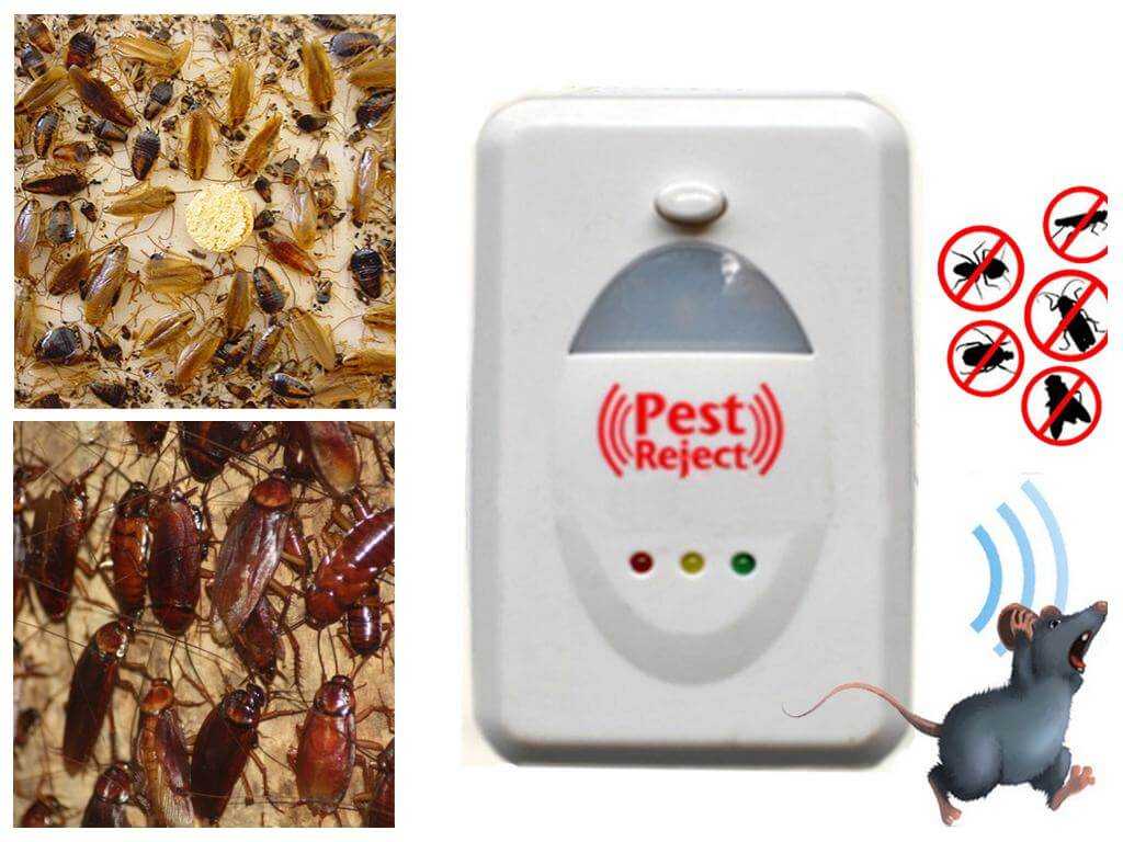 Ультразвуковые отпугиватели тараканов — лучшие средства и отзывы