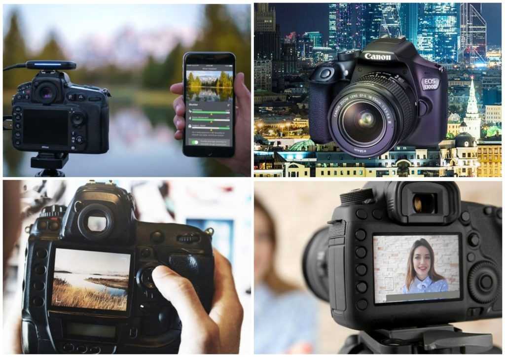 Модельный ряд фотоаппаратов canon: цифровые и зеркальные фотокамеры