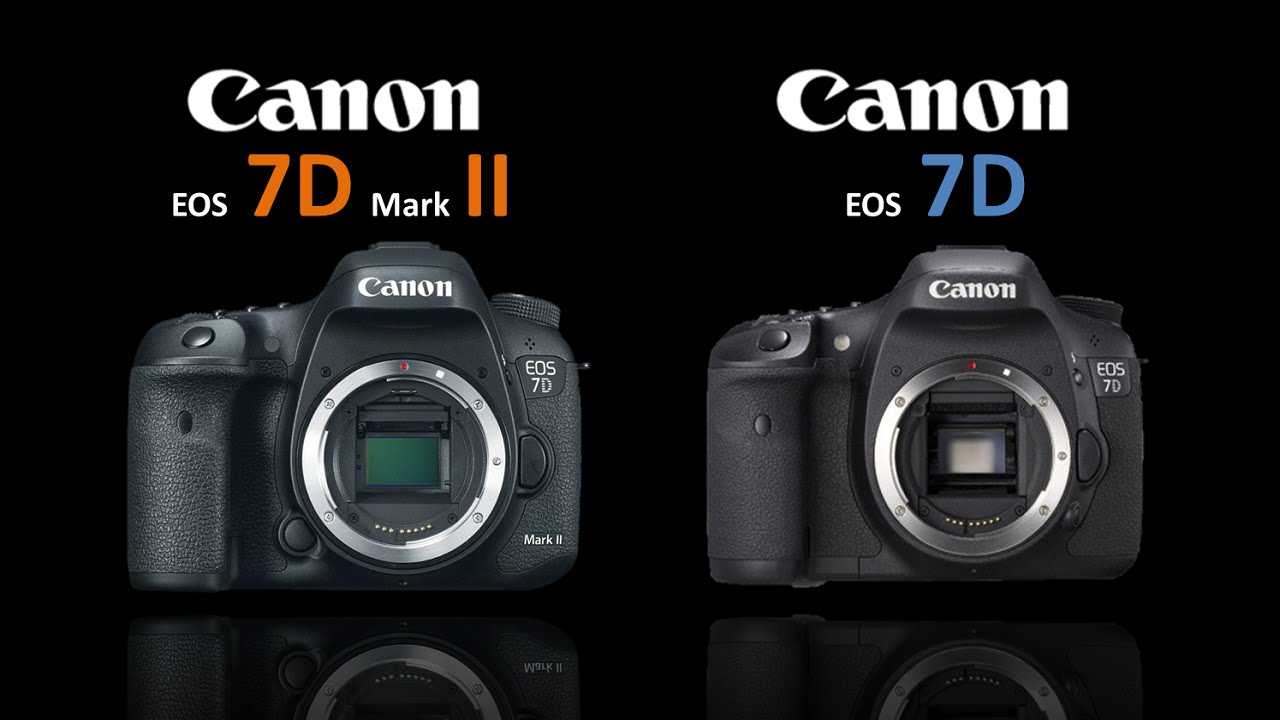 5d vs mark. Canon EOS 7d Mark II. Кэнон ЕОС 7д. Canon 6d Mark II vs Canon 7d Mark II. Canon 7d vs Canon 7d Mark II.
