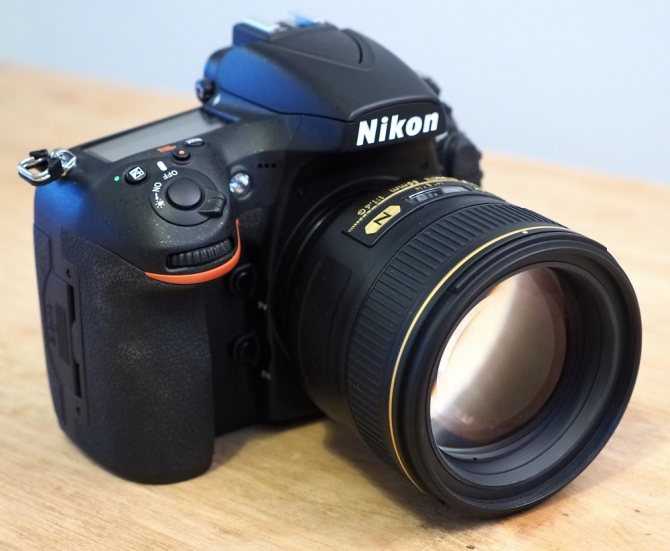 Какой фотоаппарат лучше купить для начинающего фотографа: рейтинг лучших моделей nikon, canon, sony и panasonic