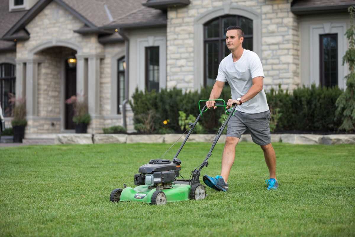 The lawn mower 5.0 ultra. Стрижка газона. Газонокосилка. Косить газон. Декоративная стрижка газона.