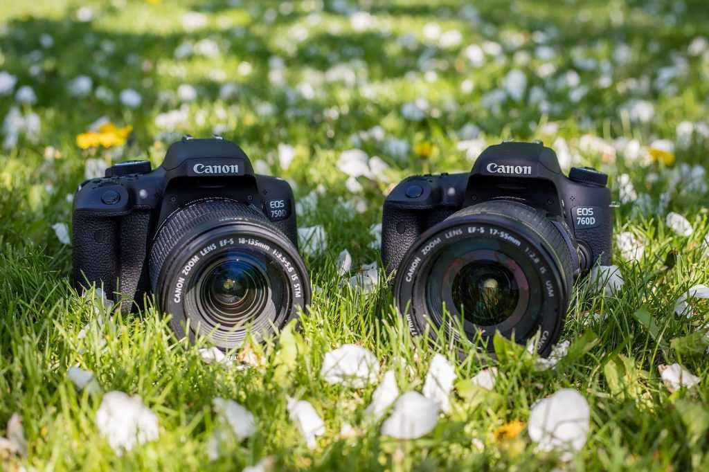 Canon powershot - японское качество для фотографов-любителей