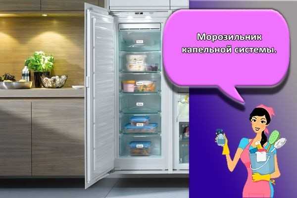 Какой холодильник лучше ноу фрост или капельный