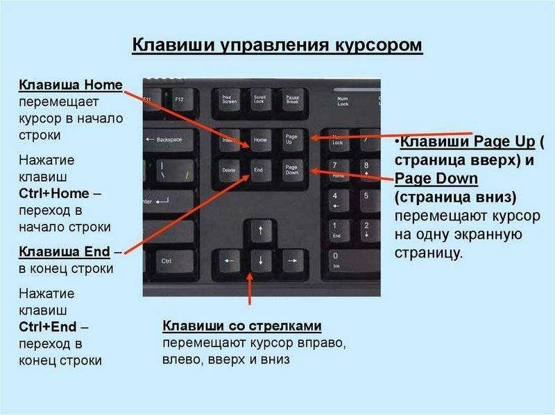 Как на ноутбуке скопировать и вставить картинку без мышки