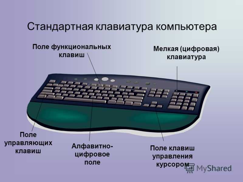 Какую клавиатуру лучше выбрать: механическую или мембранную?