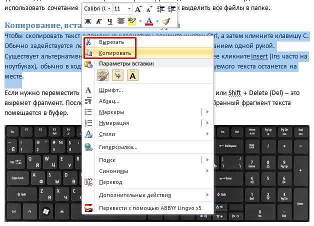 Как скопировать картинку с сайта и вставить в ворд на ноутбуке