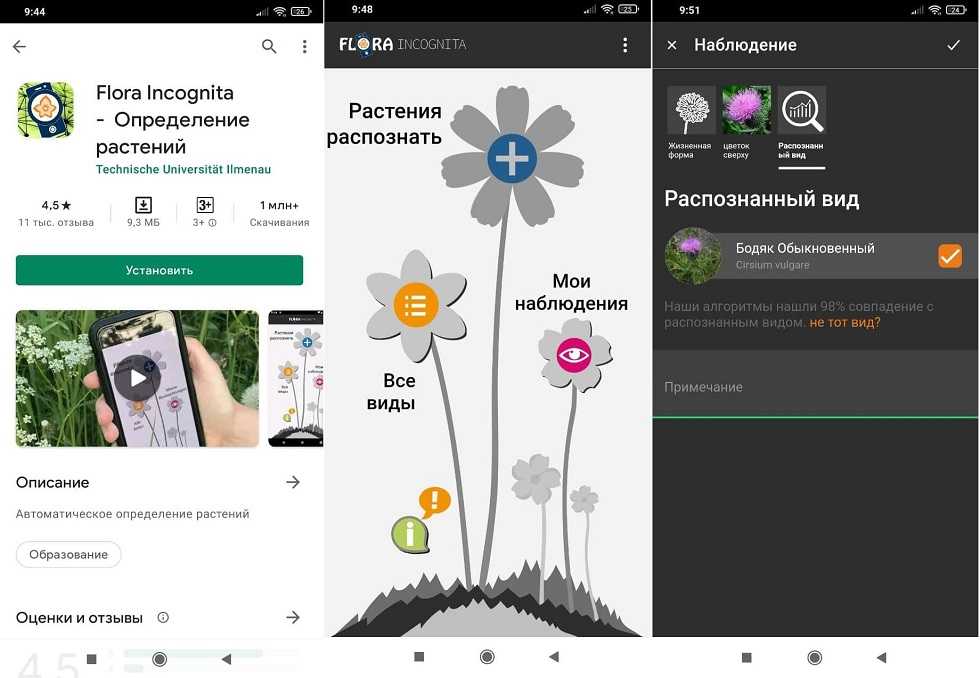 Приложение для определения растений по фото на русском языке