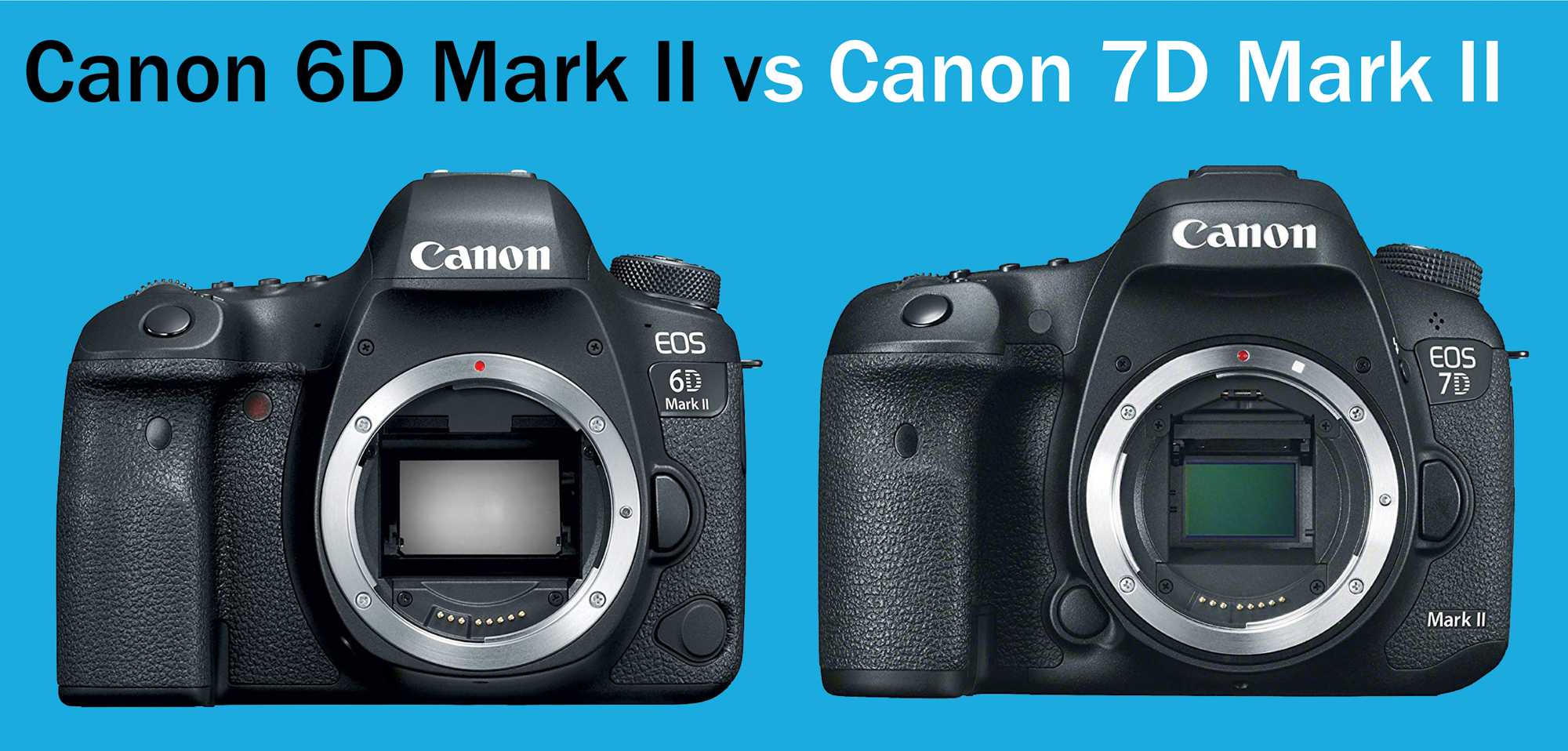 5d vs mark. Canon EOS 7d Mark II. Canon 6d Mark 2. Canon 6d Mark II разъемы. Кэнон 6д.