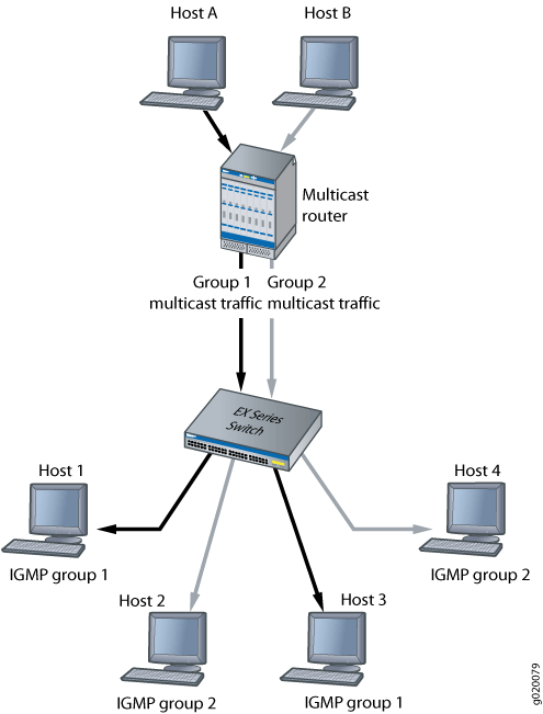 Igmp snooping without router