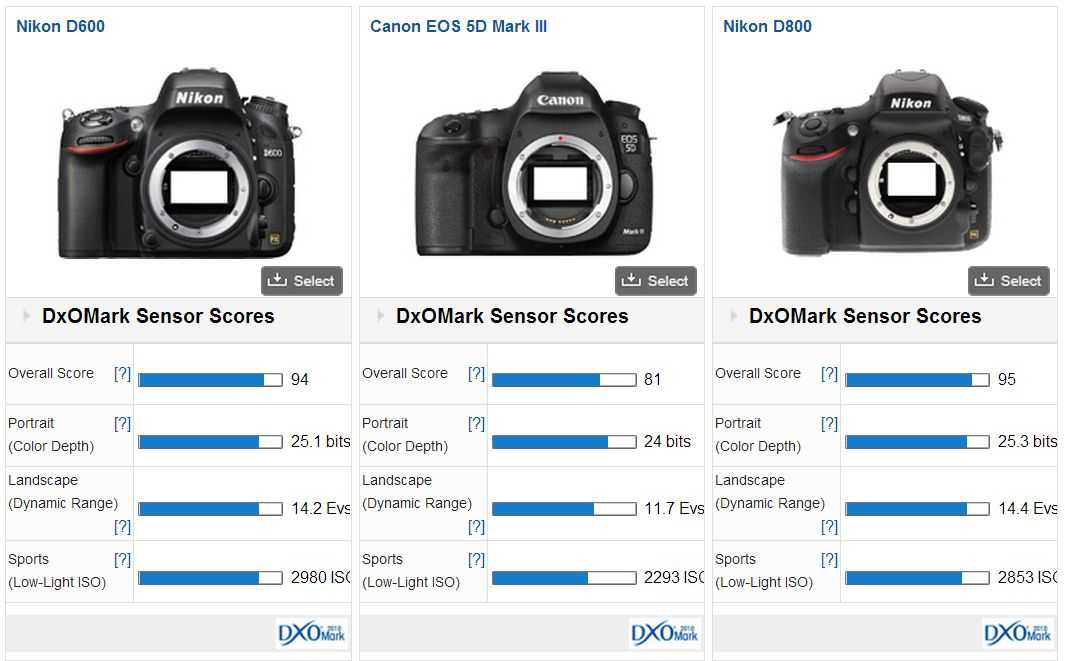 Canon nikon сравнение. Canon Mark 2 vs Nikon d600. Canon EOS 3100. Линейка моделей Canon EOS C 100 200 300.